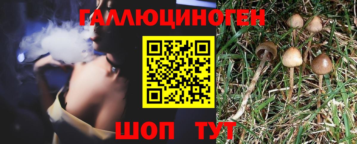 Аксай  Галлюциногенные грибы Magic Shrooms  Вход с VPN 