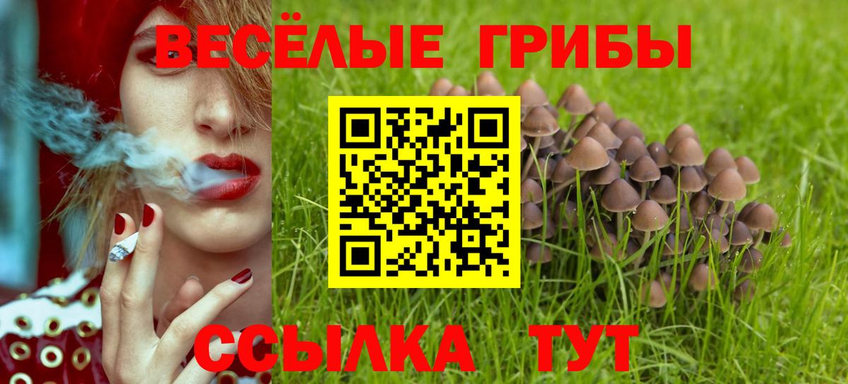 Псилоцибиновые грибы Psilocybe Аксай